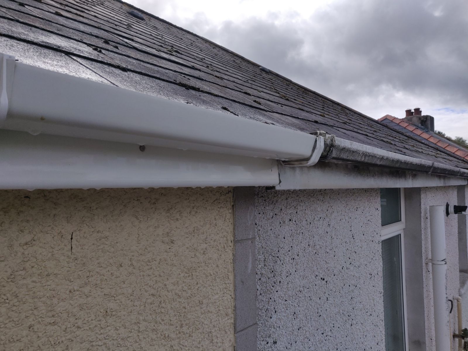 Gutter Cleaning