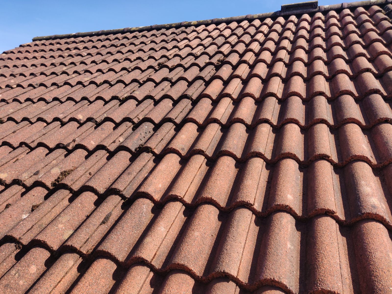 Roof Cleaning